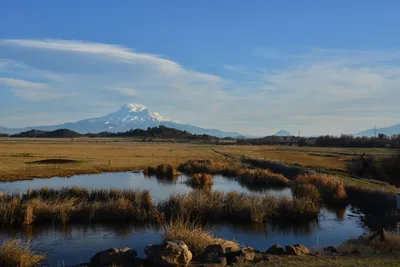 DSC_5999 (Large).JPG